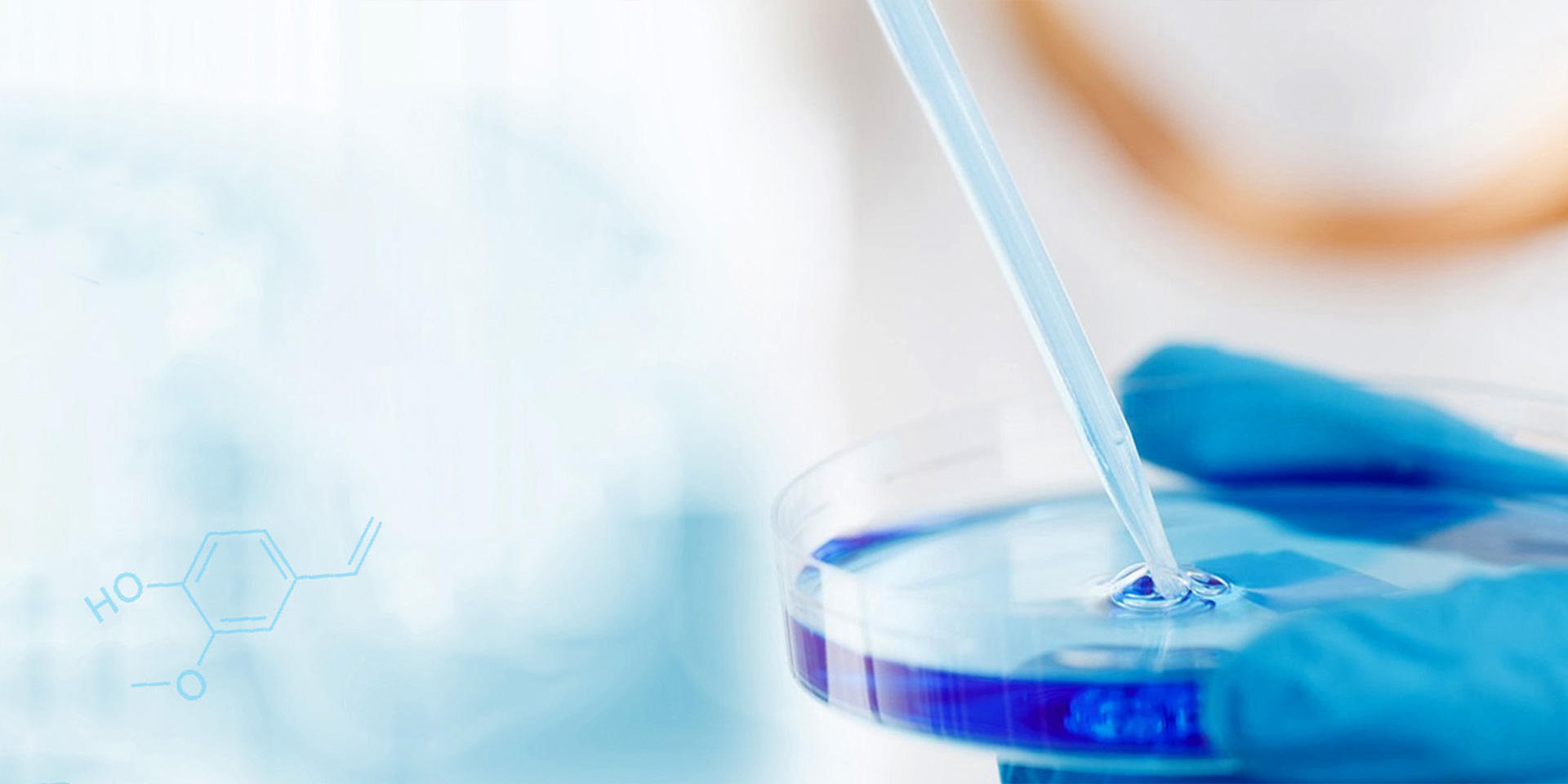 邢臺鑫藍星科技有限公司